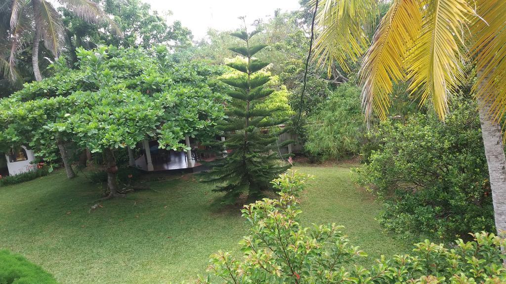 4 Seasons Guesthouse Hikkaduwa Dış mekan fotoğraf