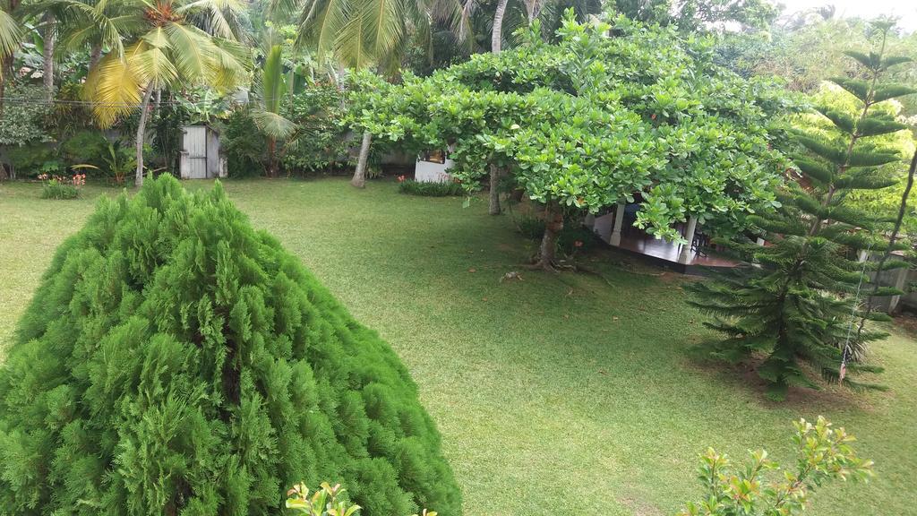 4 Seasons Guesthouse Hikkaduwa Dış mekan fotoğraf