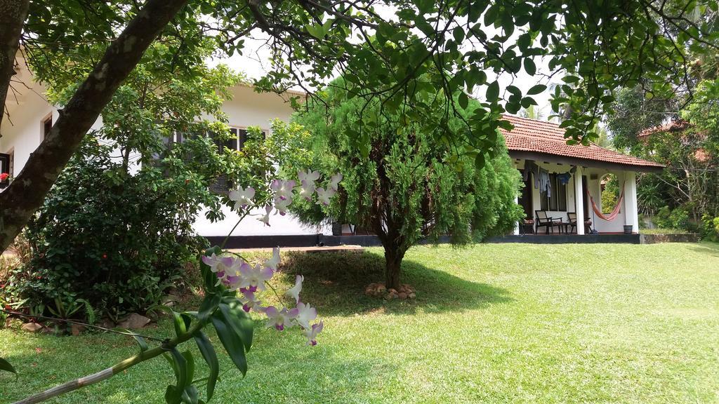 4 Seasons Guesthouse Hikkaduwa Dış mekan fotoğraf